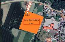 Teren do wynajęcia – 3 ha – Głogówek (48-250), DW 40