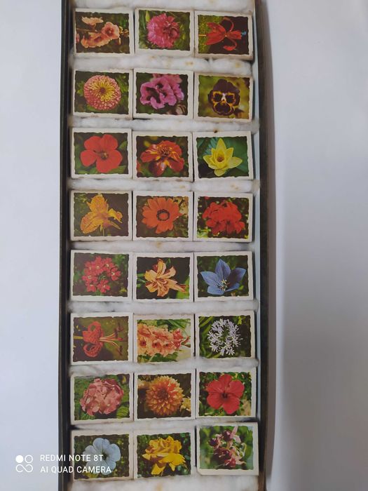 Coleção de Caixas de Fósforos - FLORES