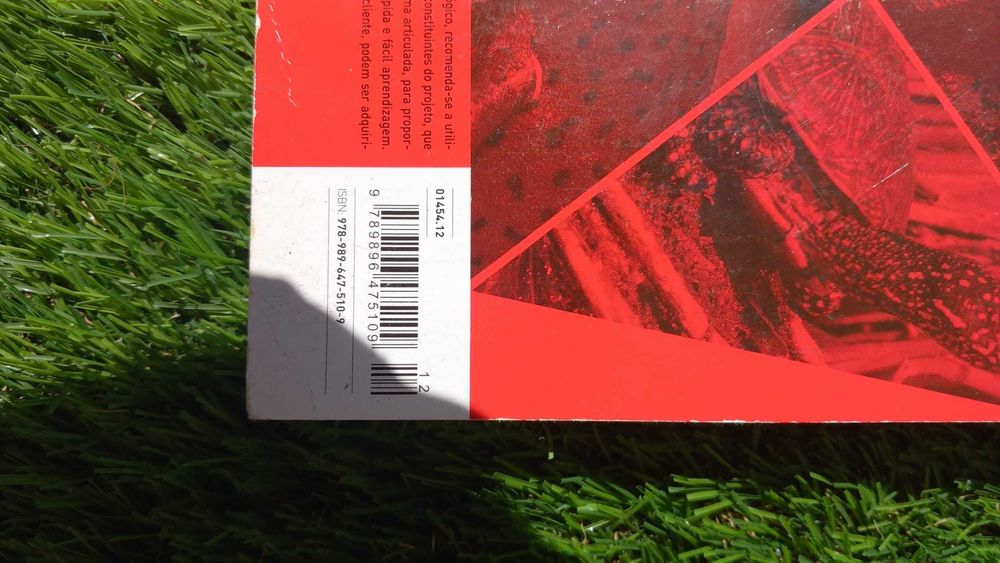 Caderno de atividades Descobrir a Terra 8