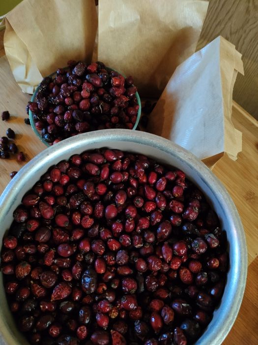 3 kg Suszona dzika róża 2025 ekologiczna