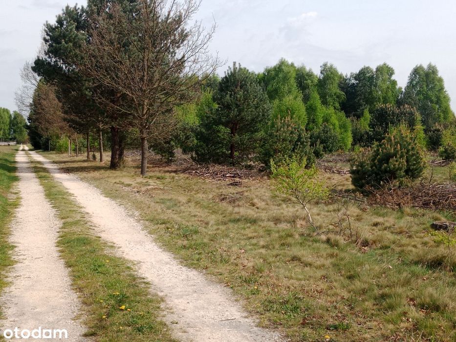 Sprzedam działkę budowlaną przy Lesie