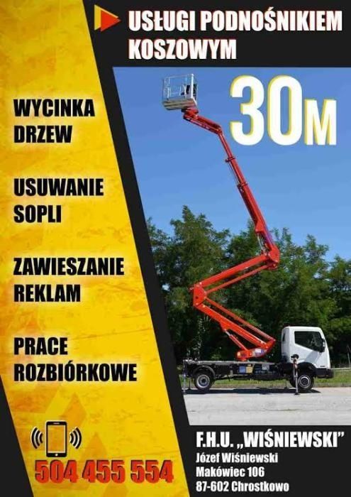 Wycinka drzew ,alpinista lub podnośnik