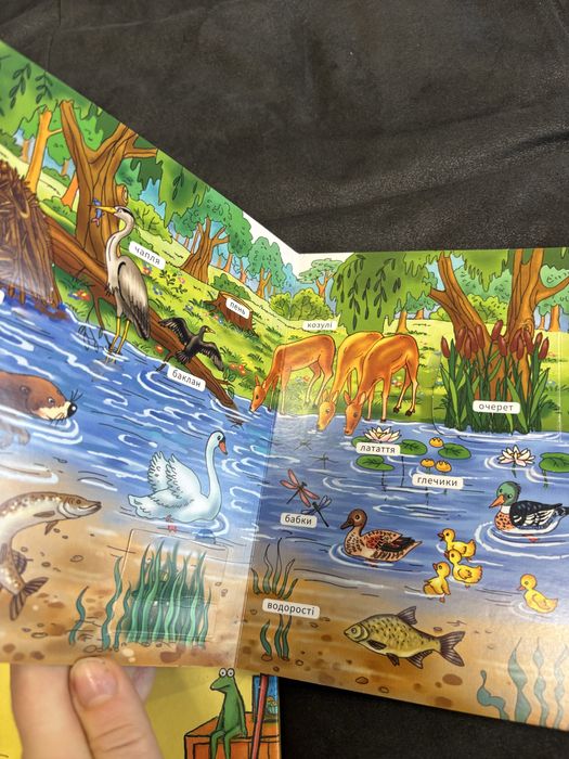 Книги День народження білочки, Мій першиц словничок, книга на липучках