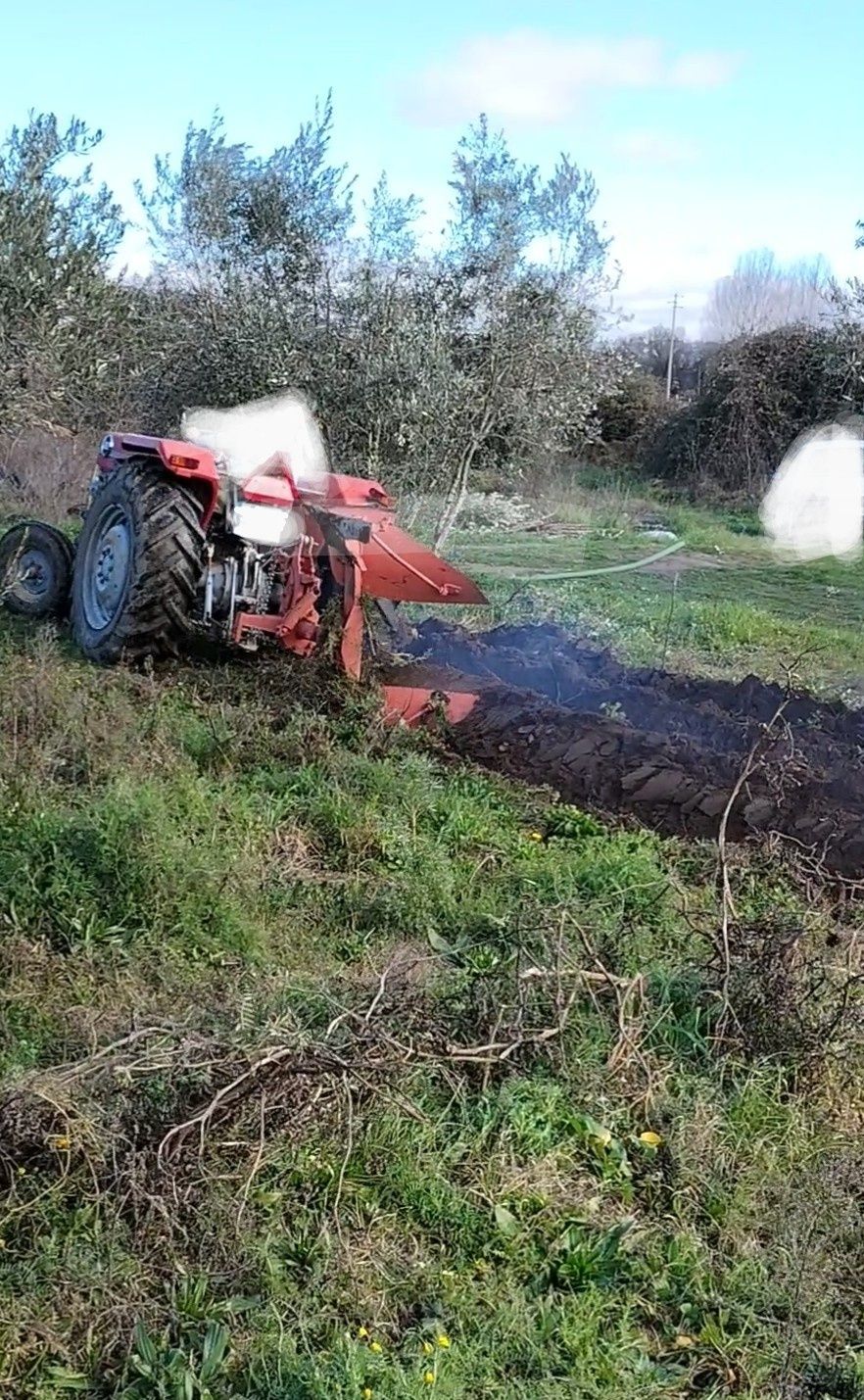 Massey Fergunson 165