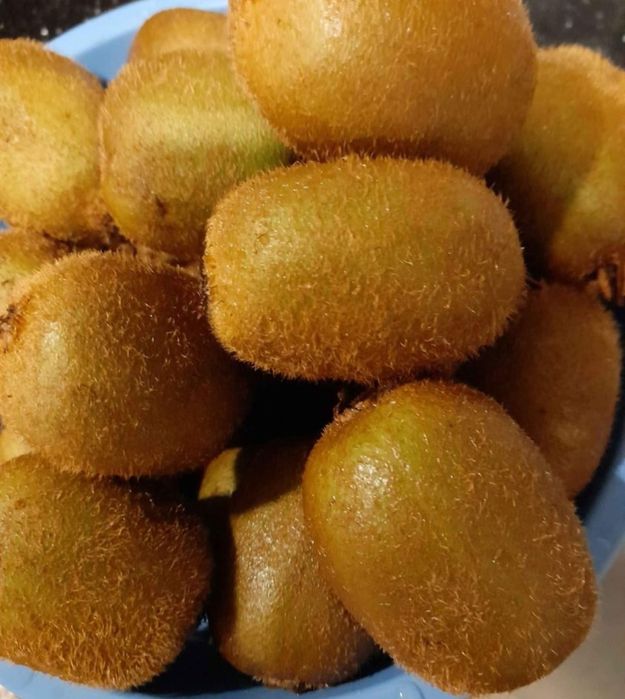 kiwis caseiros e biológicos