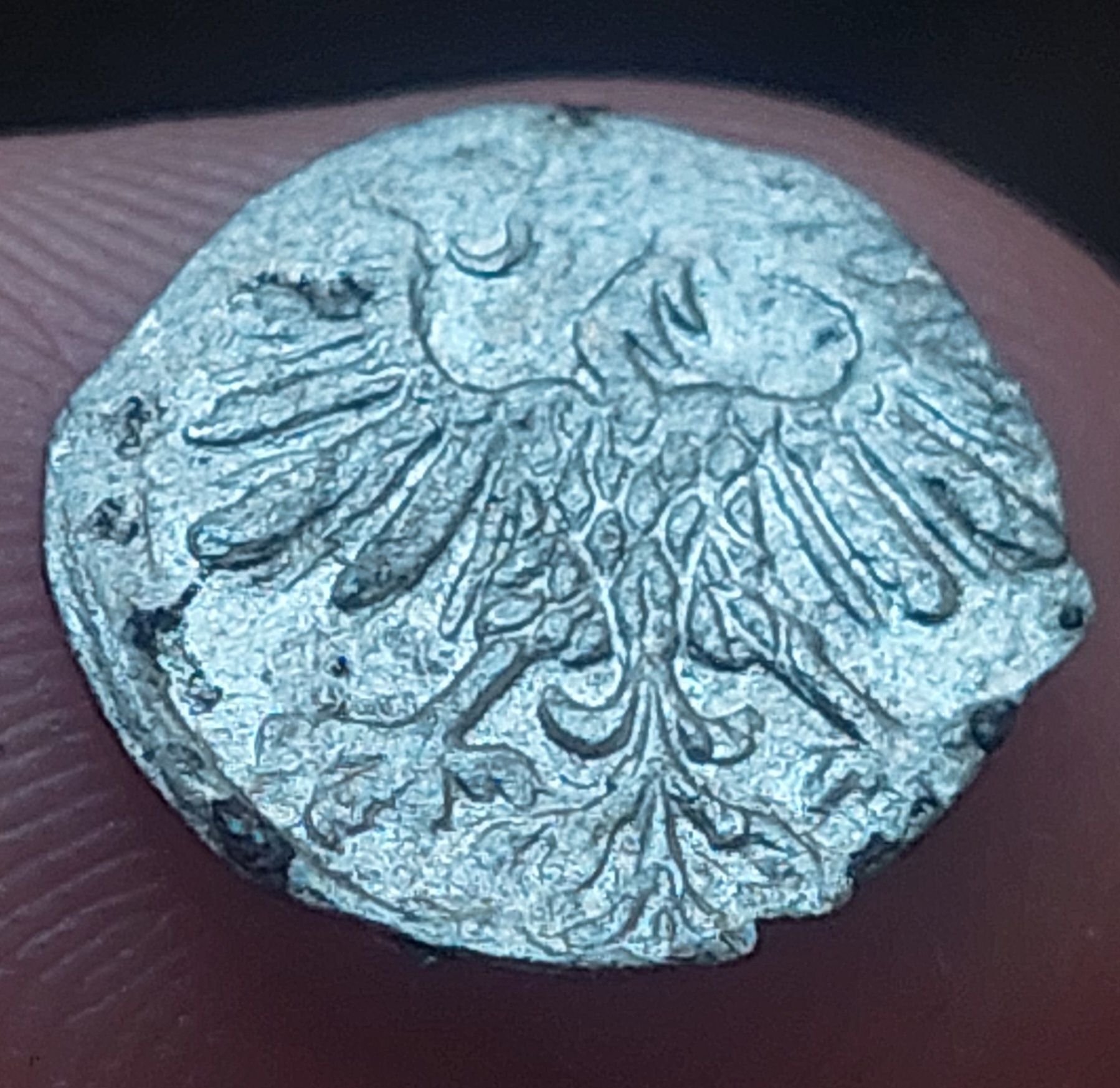 Denar 1559 Zygmunt II August