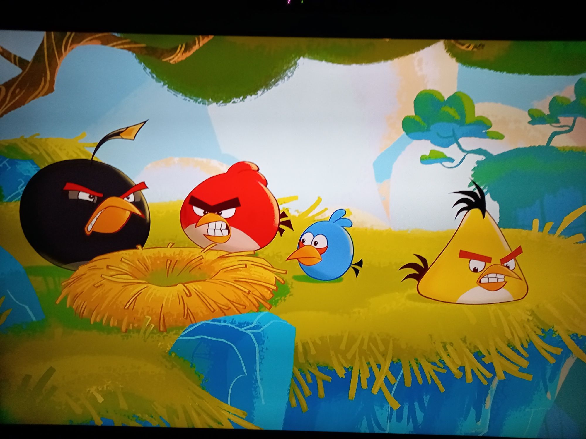 Gra Angry Birds Trilogy na xbox 360 w tym kinect
