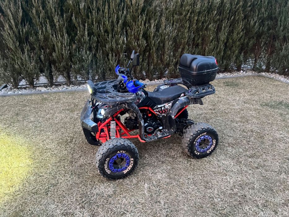 QUAD Apollo Grizzly 7"