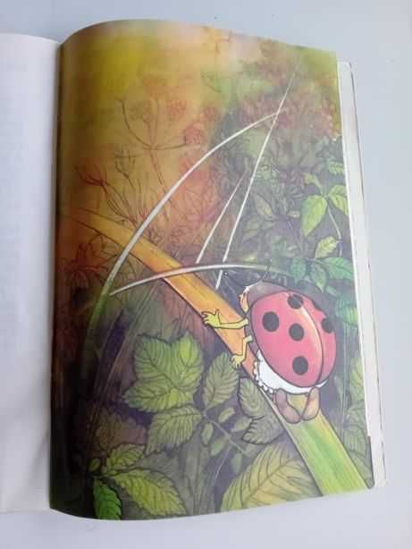 Kusek Karolina - Spacerkiem przez pole