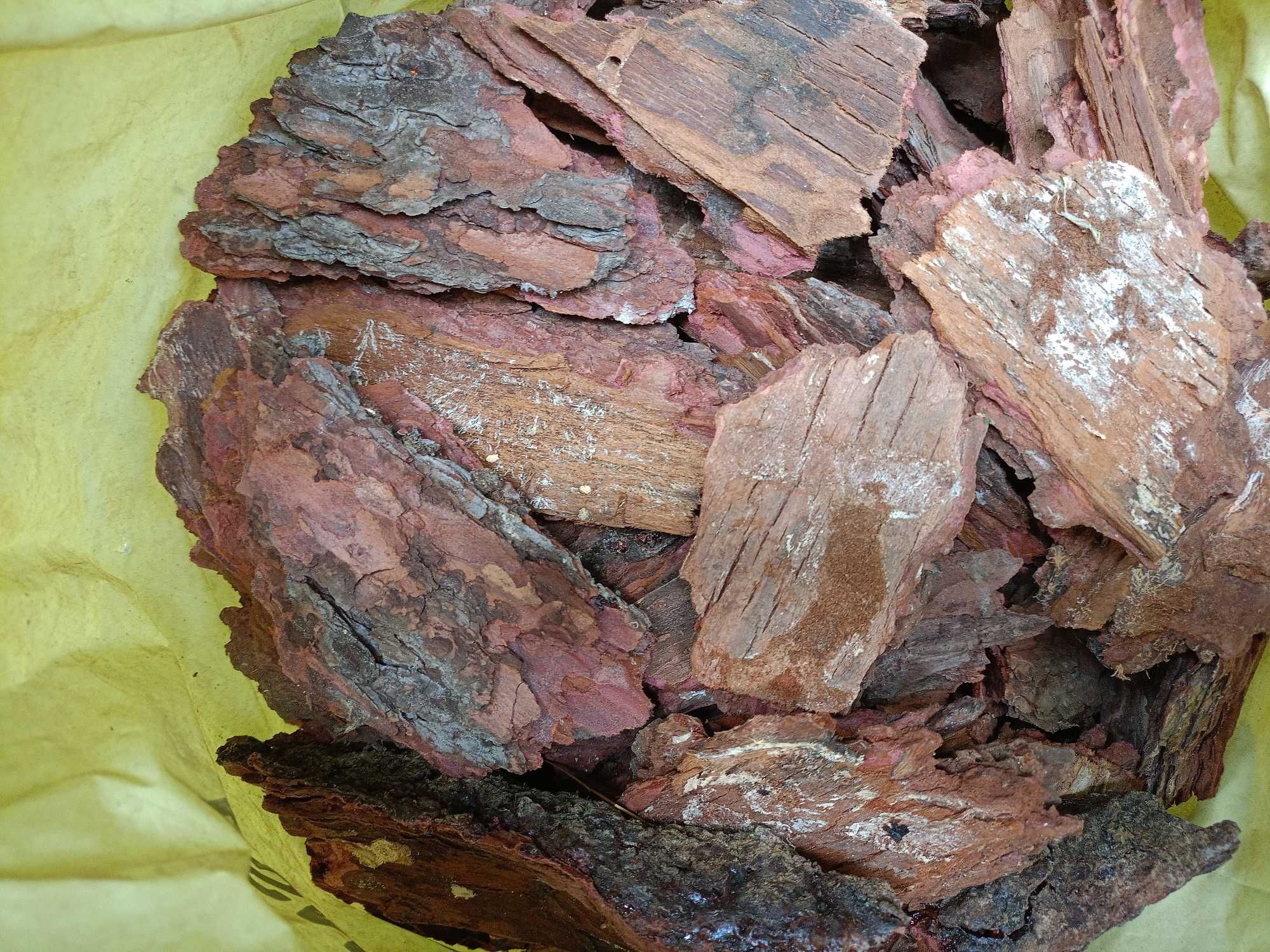 Kora Sosnowa Modrzewiowa Worek Worki 80l