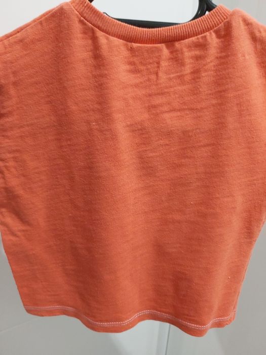 Bluzka T-shirt ze sklepu ZARA 80 cm.