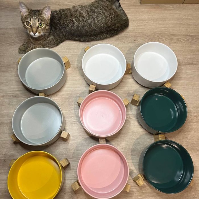 Тарілка для кота собаки миска поилка керамическая для корма