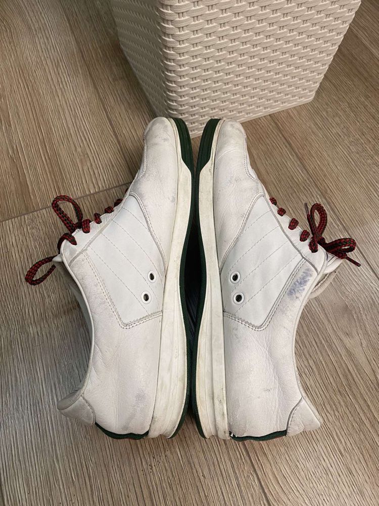 Кросівки Gucci Vintage Tennis 1984