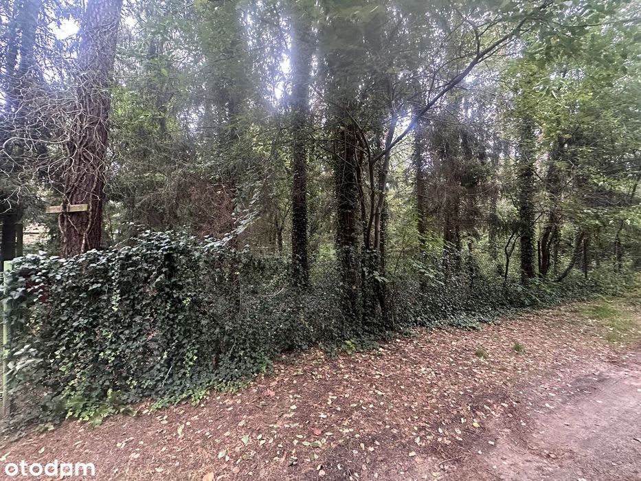 Działka, Sokolniki-Las