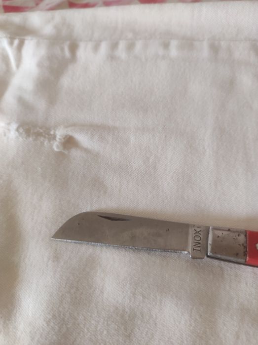 Navalha de enchertia