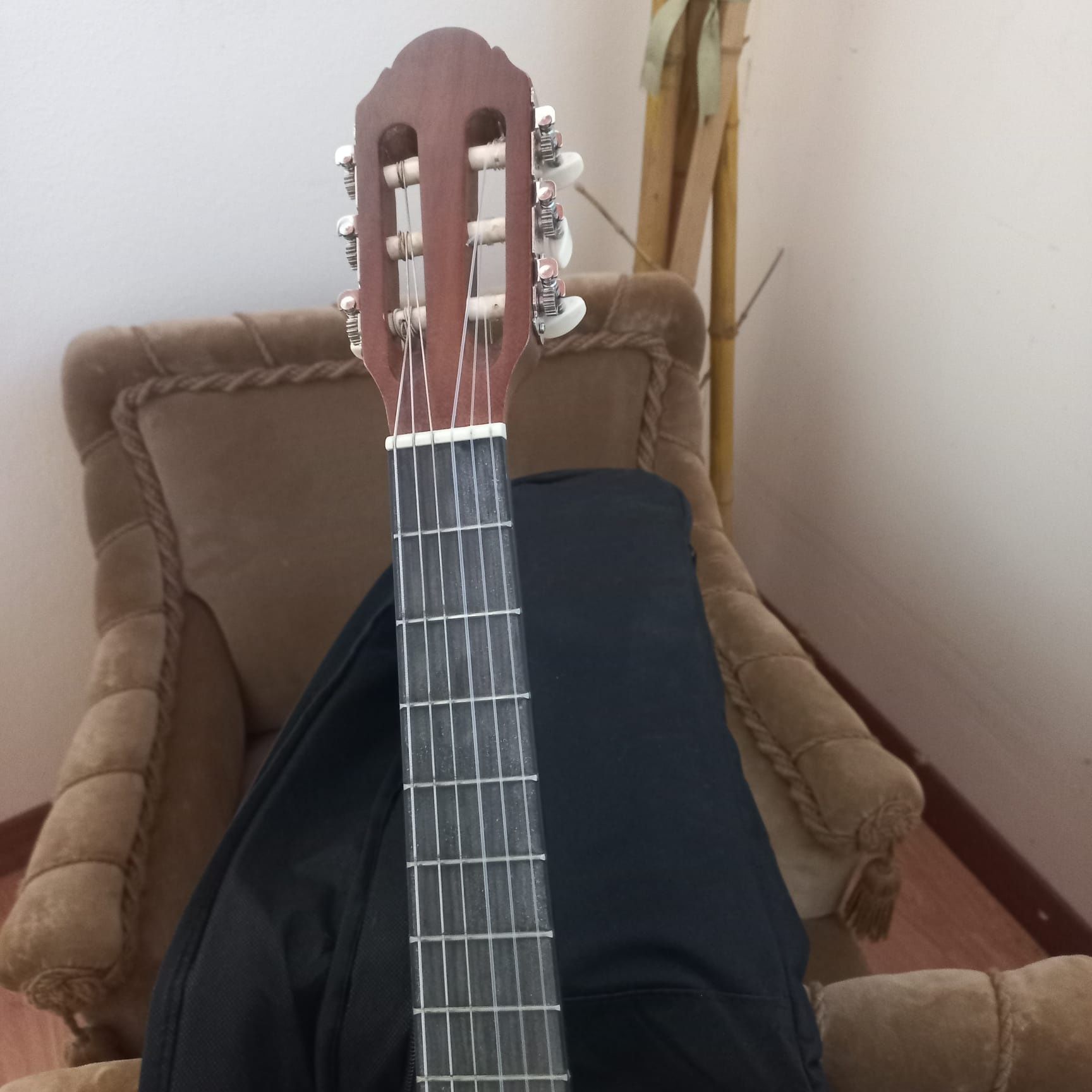 Guitarra acustica