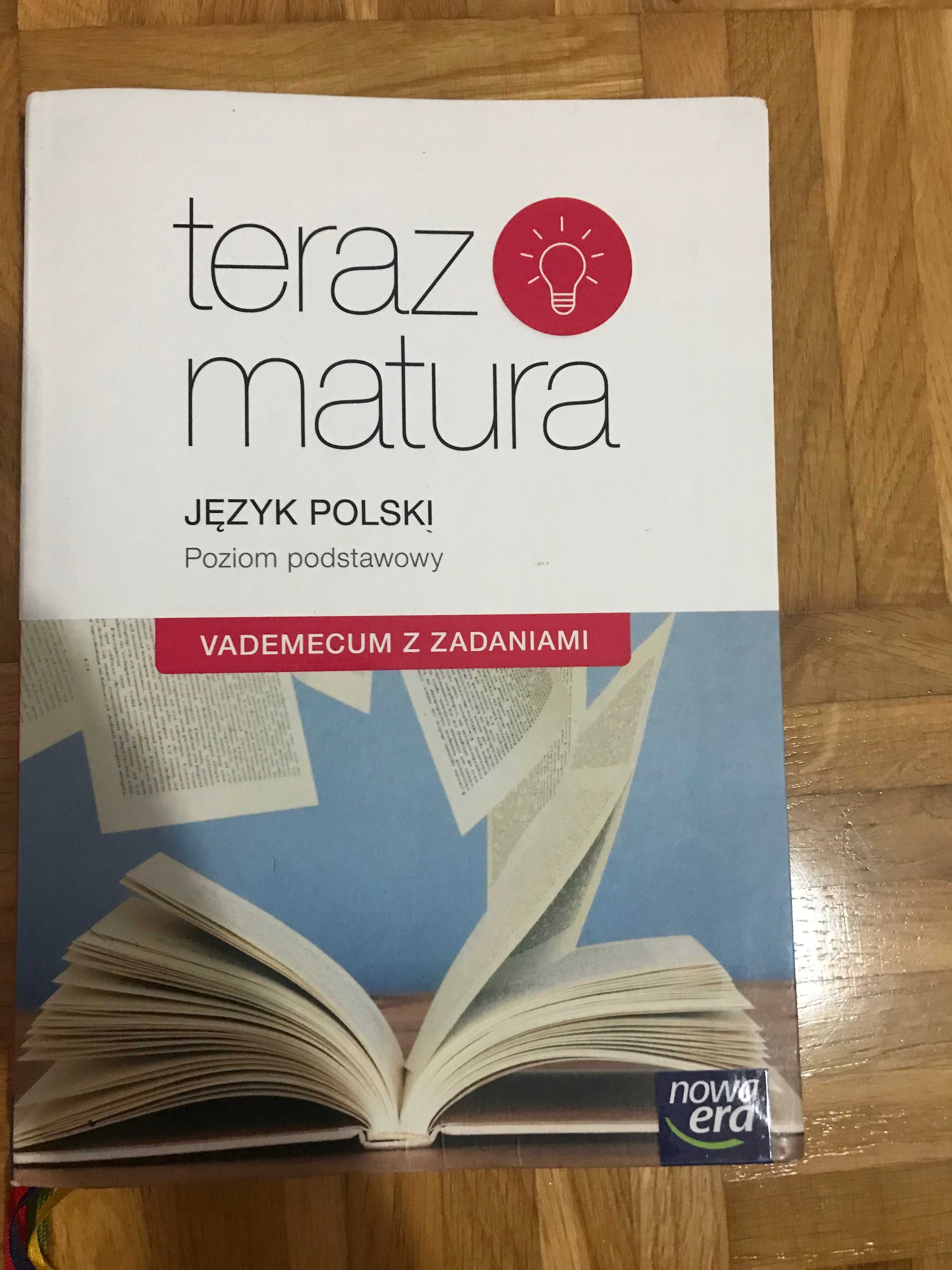 Repetytorium do polskiego