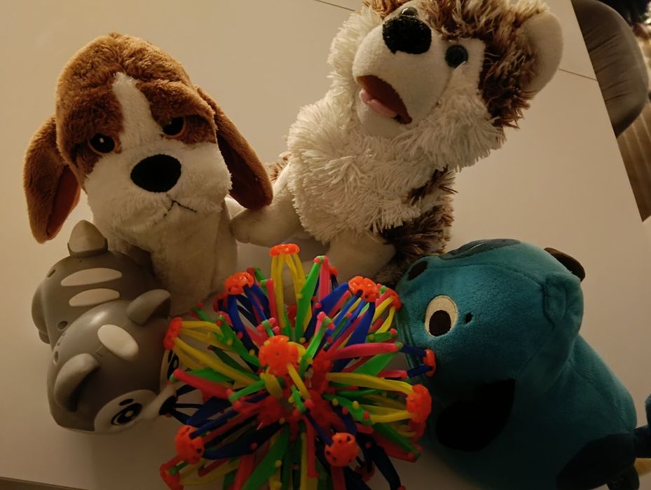 Zestaw używanych misiów