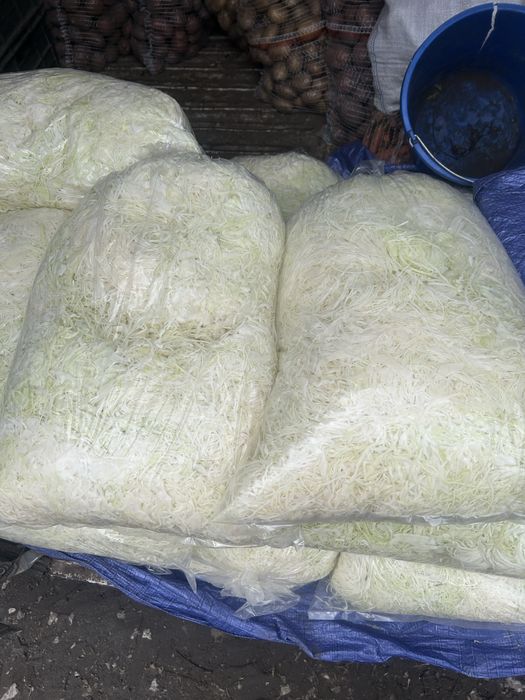 Kapusta szatkowana  z wlasnego gospdarstwa