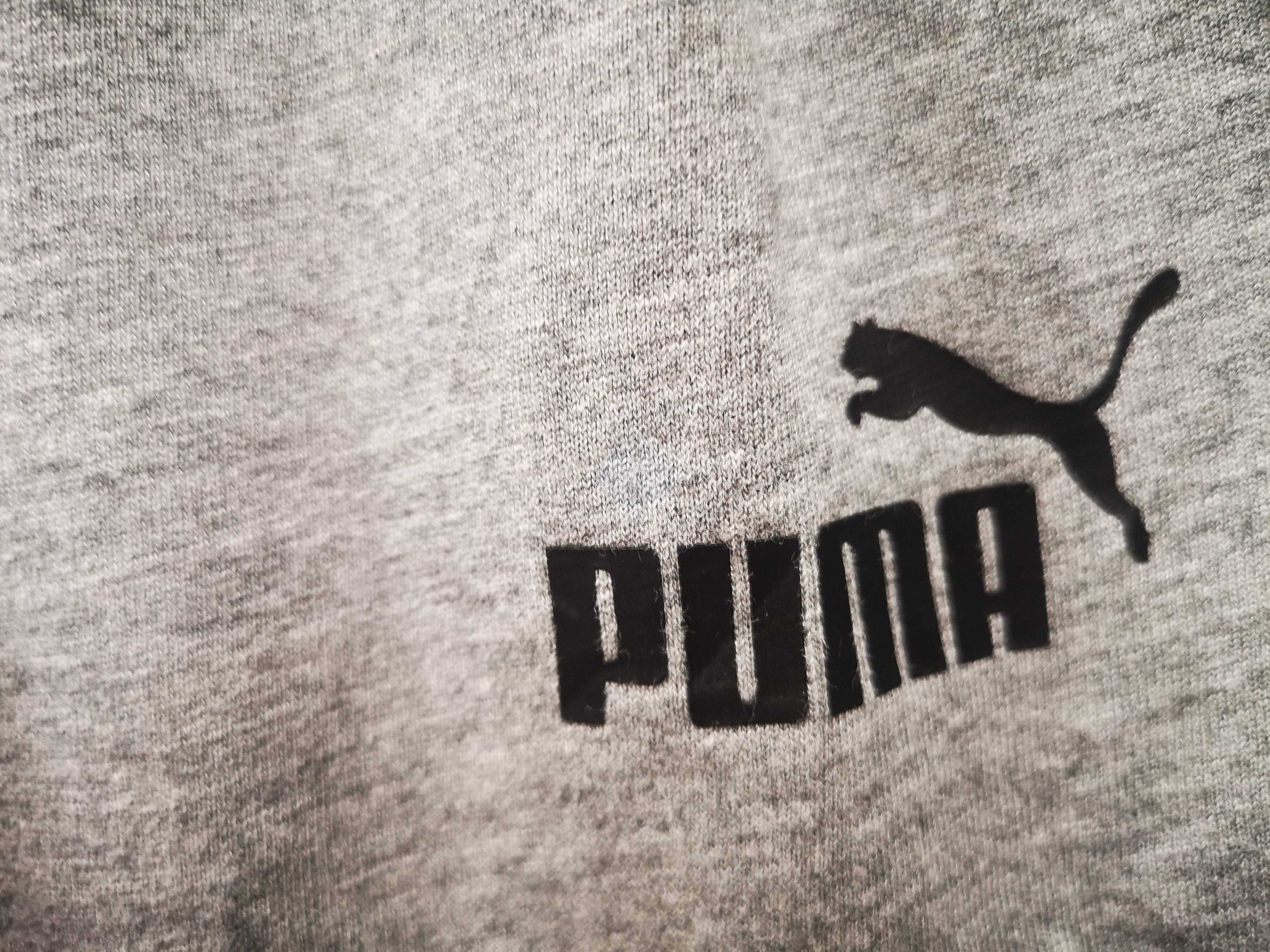 puma- swietne spodenki- s nowe