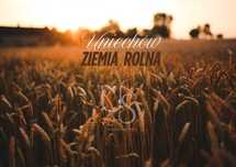 Uniechów - Ziemia rolna - ponad 3 Ha