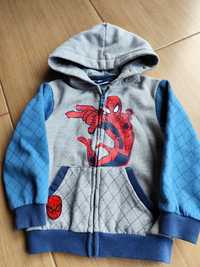 Bluza Cool Club Spiderman r.104