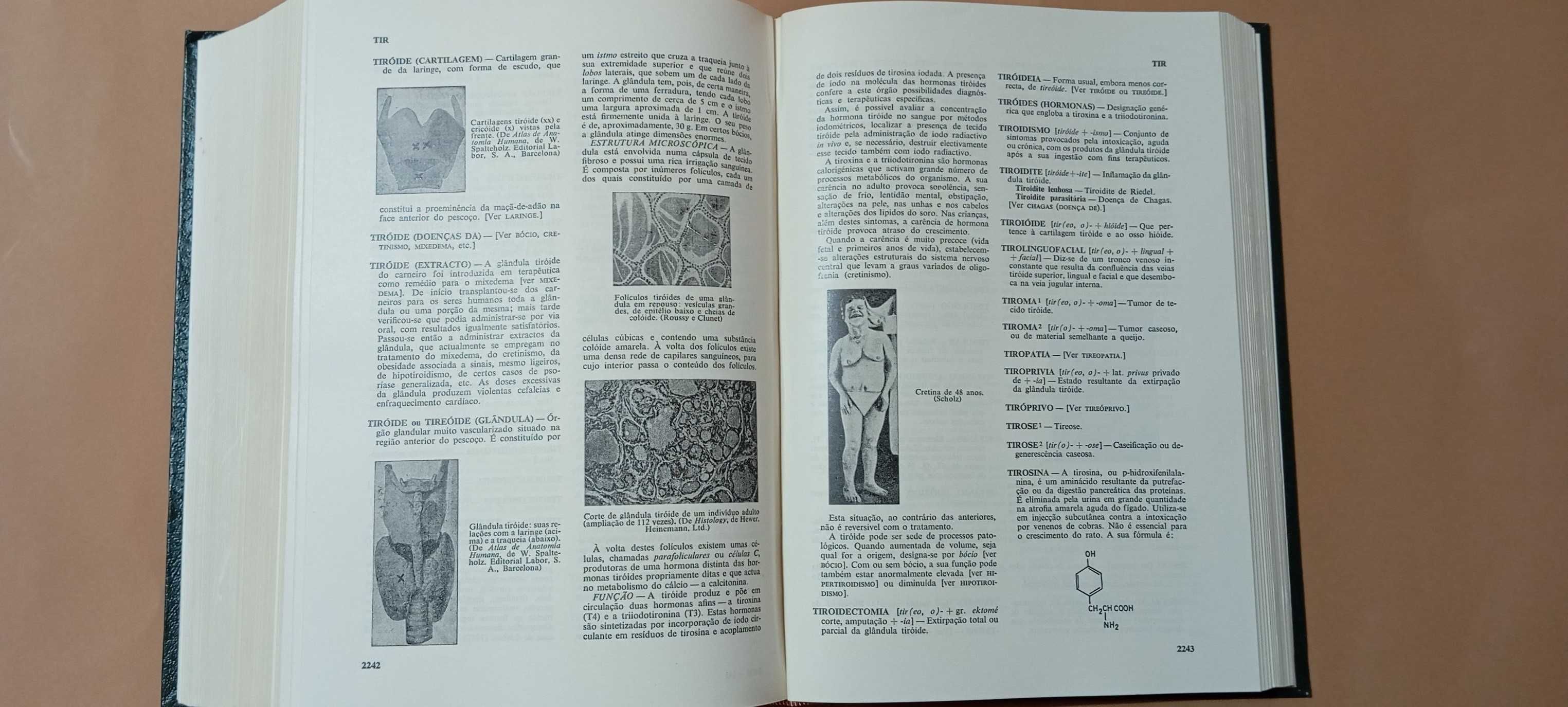 Dicionario Enciclopédico de Medicina
