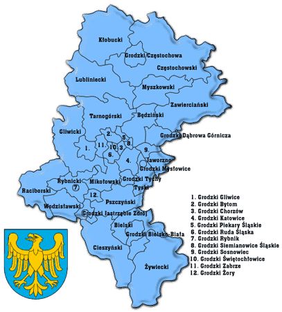 Usługi geodezyjne, geodezja, geodeta, pomiary geodezyjne