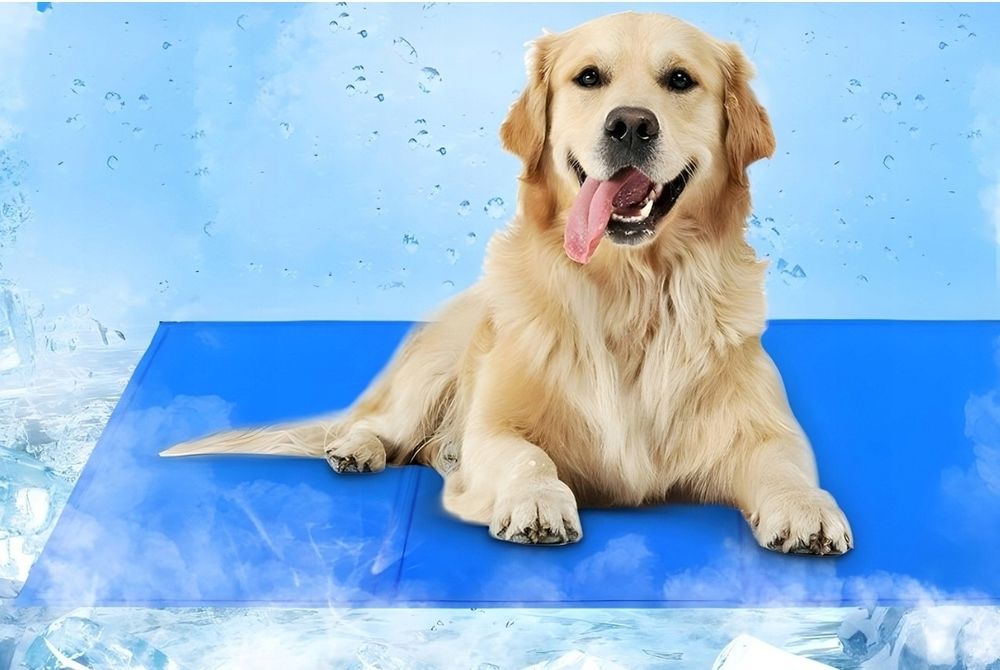 Охолоджуючий килимок 90х60