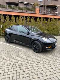 Tesla  model   Y.