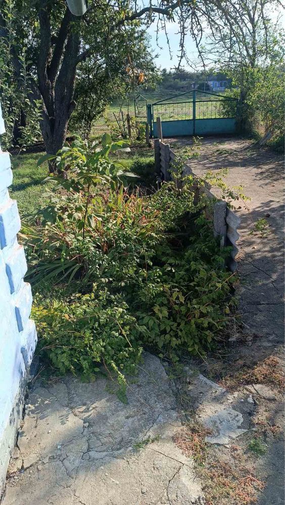 Хата в безопасном селе