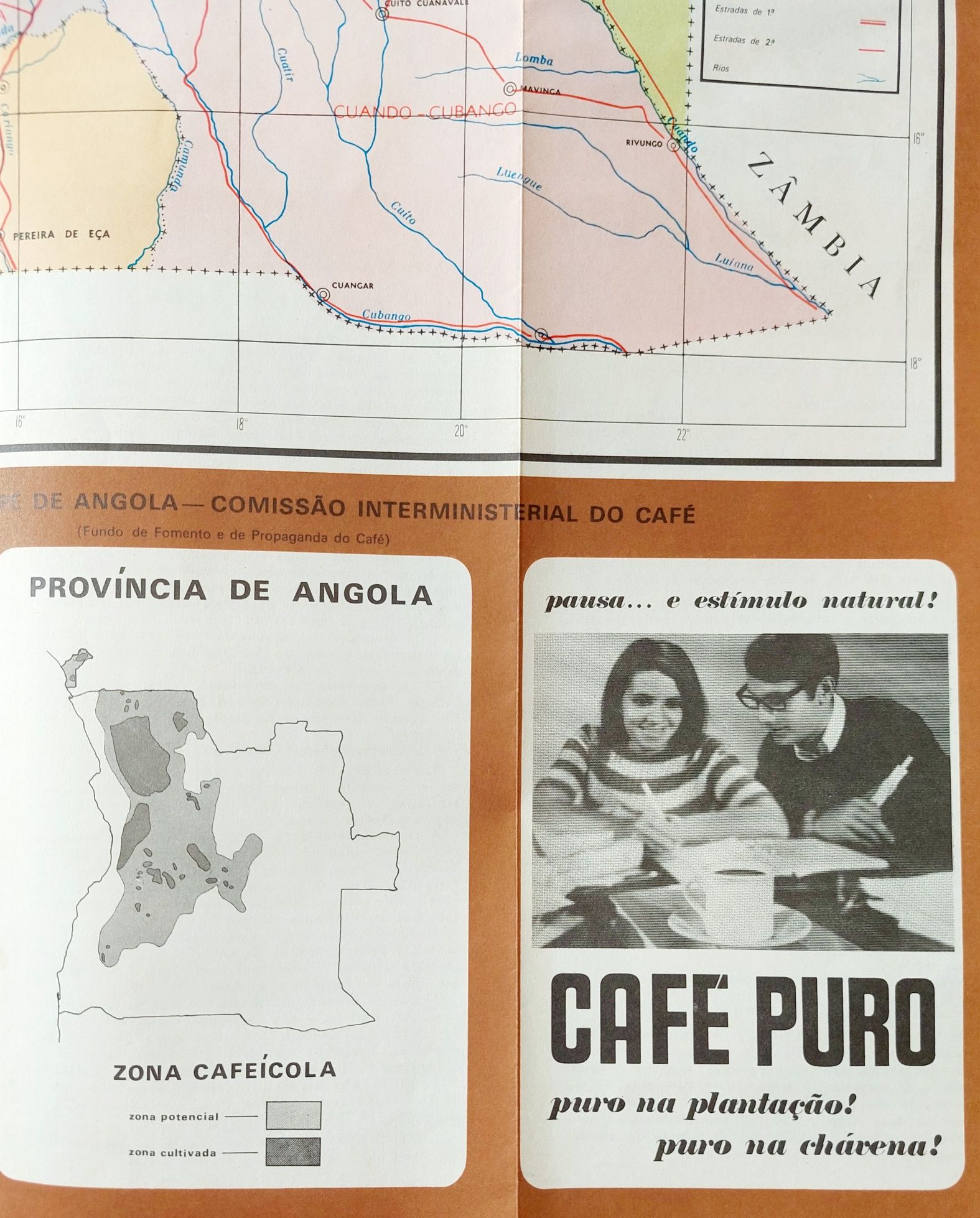 Província de Angola CAFÉ