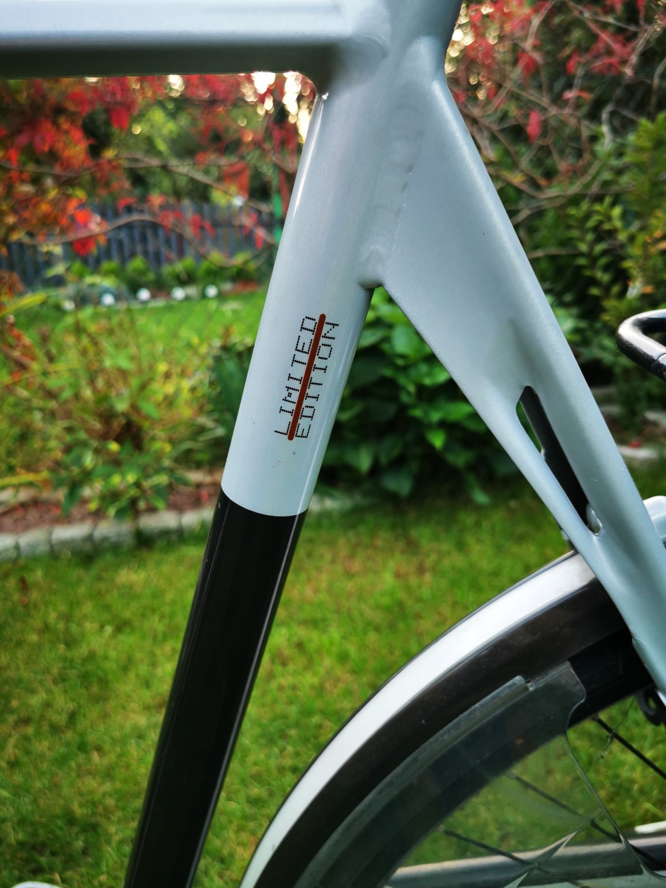 Gazelle Eclipse Limited Edition