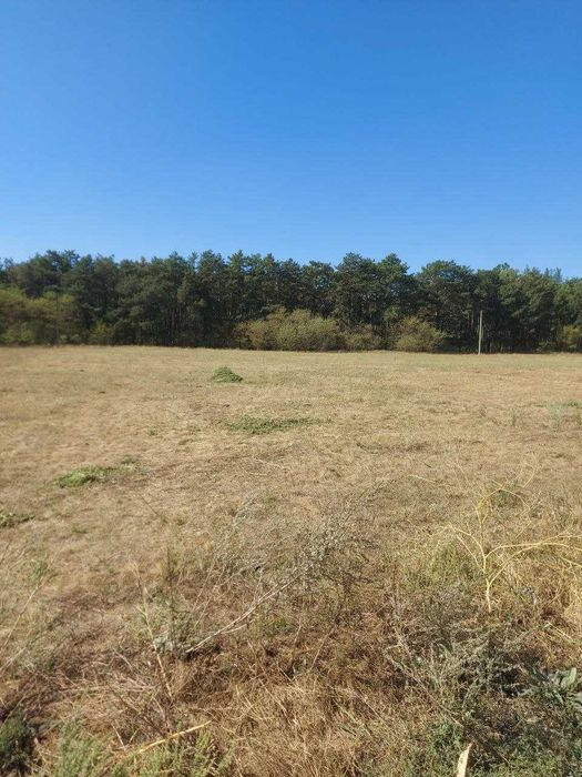 ЗЕМЕЛЬНА ДІЛЯНКА 20 соток під забудову біля хвойного Лісу