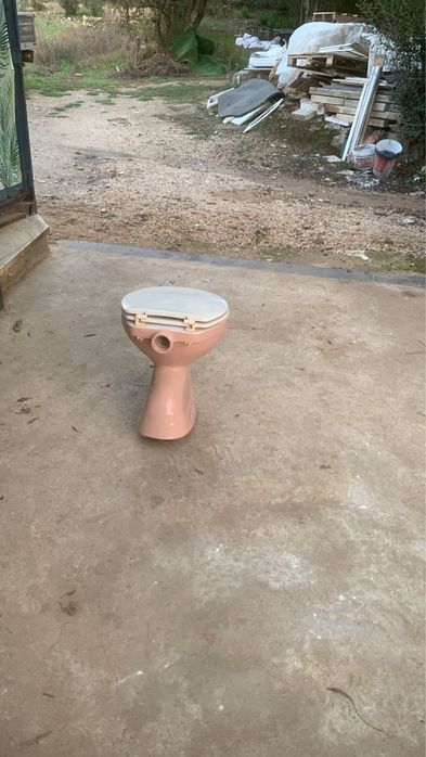 Sanita cor de rosa com tampa