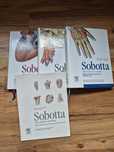 Atlas anatomiczny Sobotta