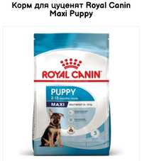 Сухий корм Royal Canin Maxi puppy, Максі паппі для цуценят 15 кг