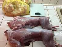 Мясо  кролика
