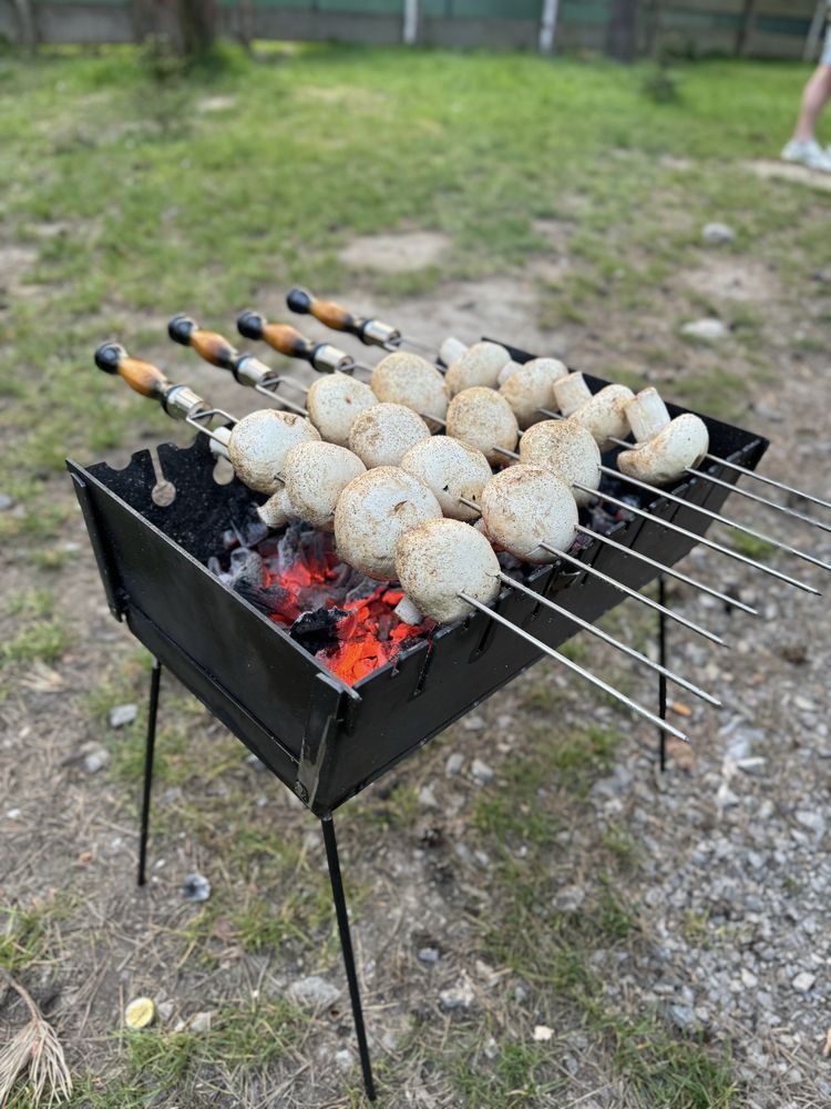 Szastyki do grilla Szampura Szampury Szpikulce шампура шампури mangal