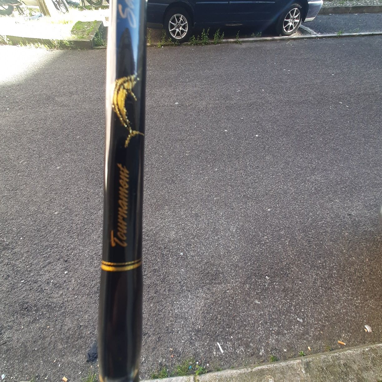 Vendo cana Big Game Ian Miller Shortstroke Tornament Series 30 Lbs