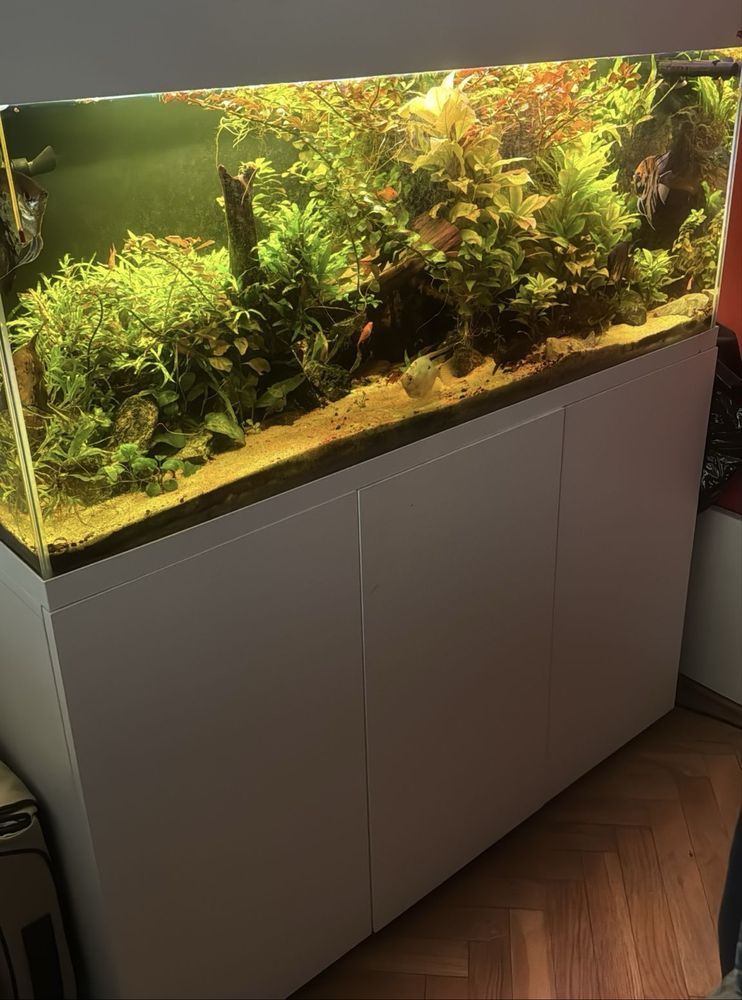 Akwarium z szafką, filtrami, oświetleniem