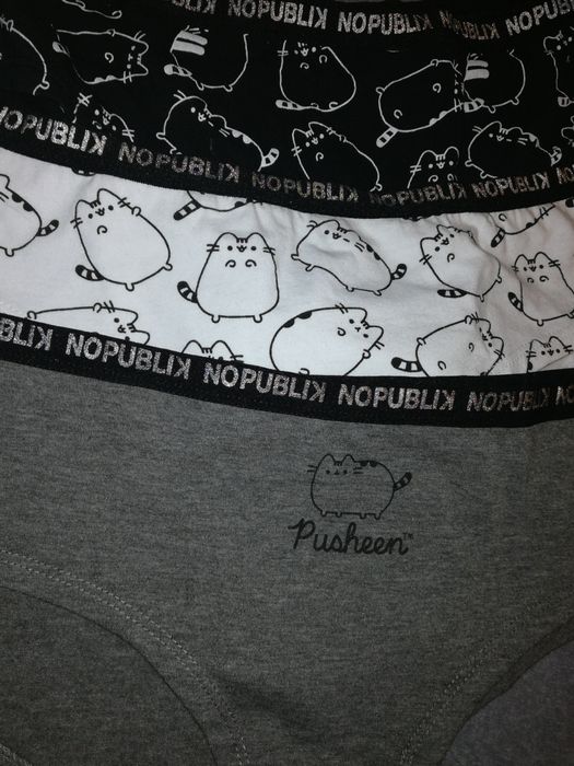Majteczki z Pushinem