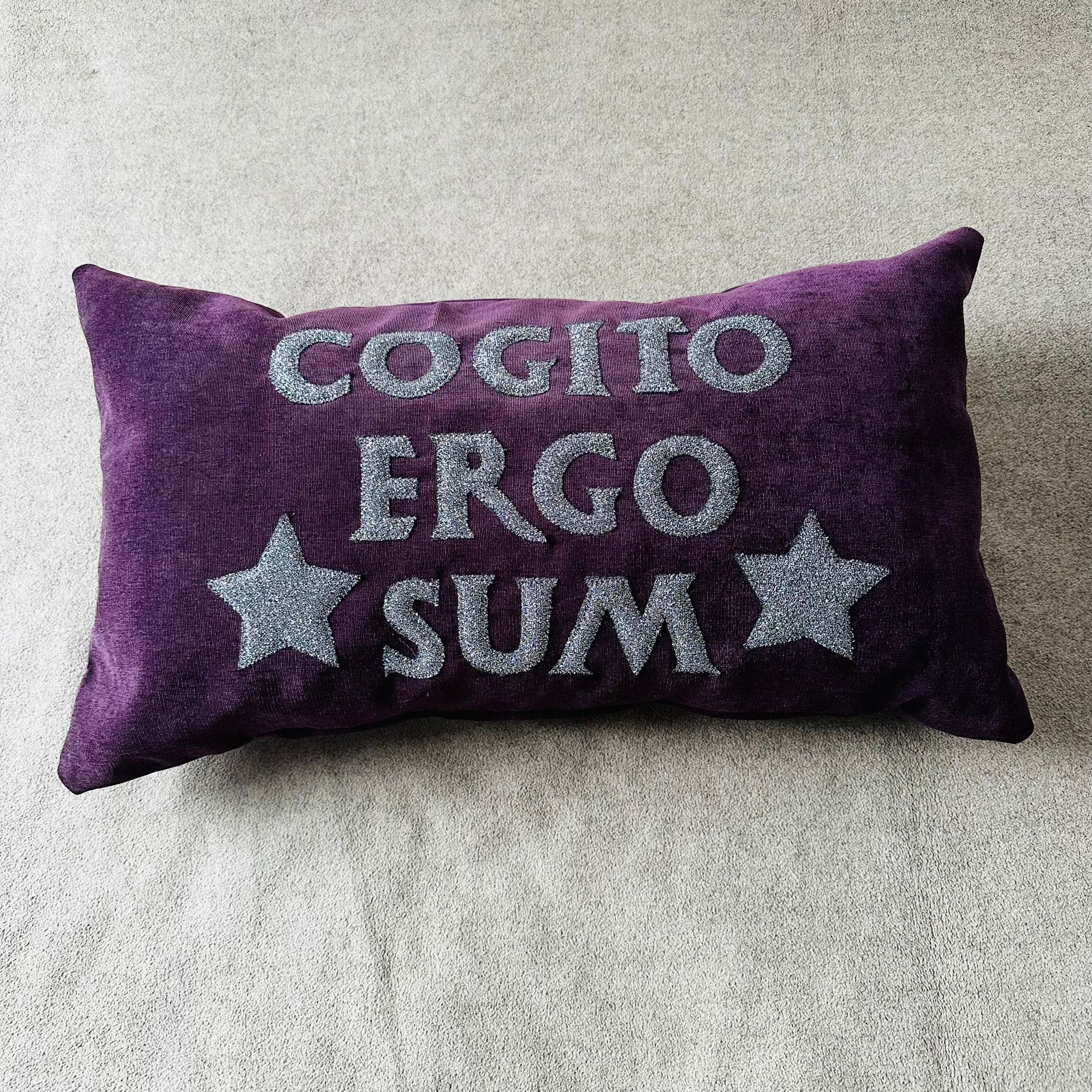 Unikatowa, ręcznie wykonana, ozdobna poduszka COGITO ERGO SUM 60x32 cm