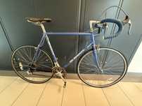 Rower Bianchi sport sx