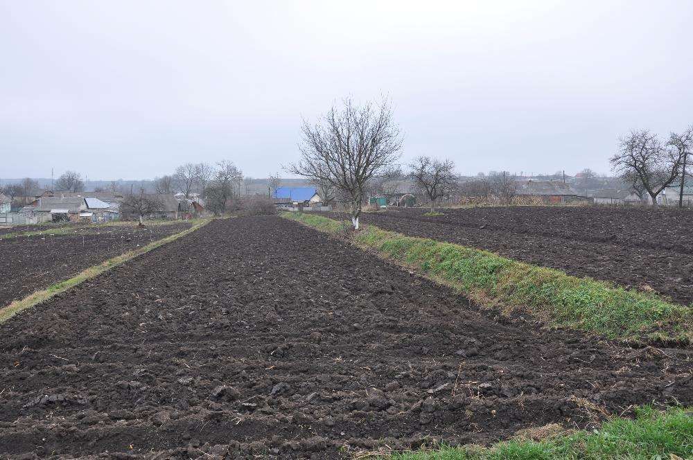 Земельна ділянка в с. Дзвиняч, Заліщицький район ,Тернопільська обл.