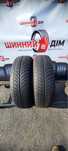 Шини 225/65 R17 пара Roadmarch 2021p всесезон 7мм