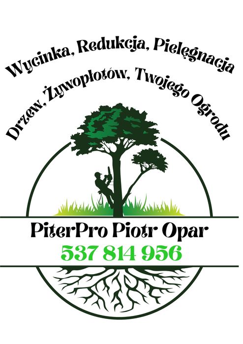 Wycinka redukcja drzew, usługi arborystyczne - rębakiem i ogrodnicze
