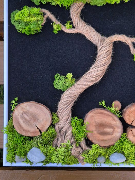 Obraz Kompozycja Mech Dekoracja Długowieczne Dom Prezent