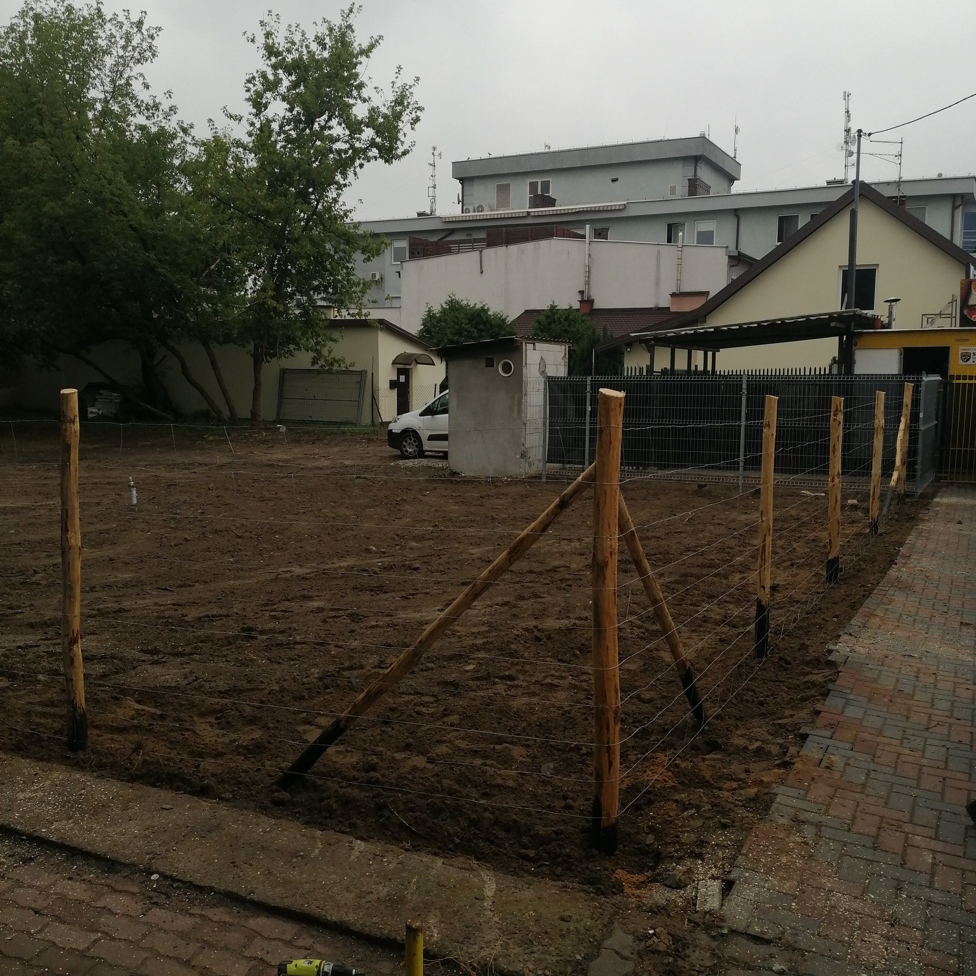 Słupki Ogrodzeniowe Do Siatki Leśnej!!!