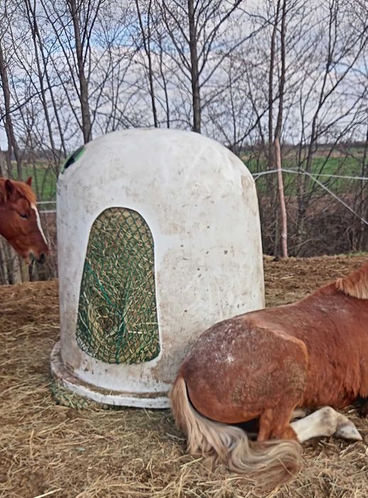 Paśnik dla koni na balot pojemnik na siano paśnik typu dzwon dla koni